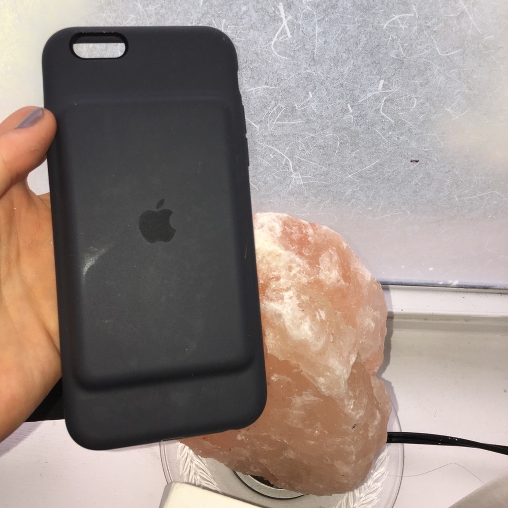 APPLE CHARGER CASE